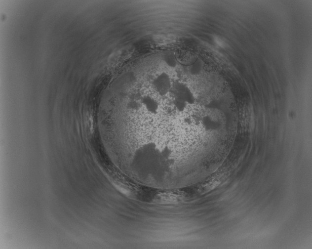 X0000073890703200608180934