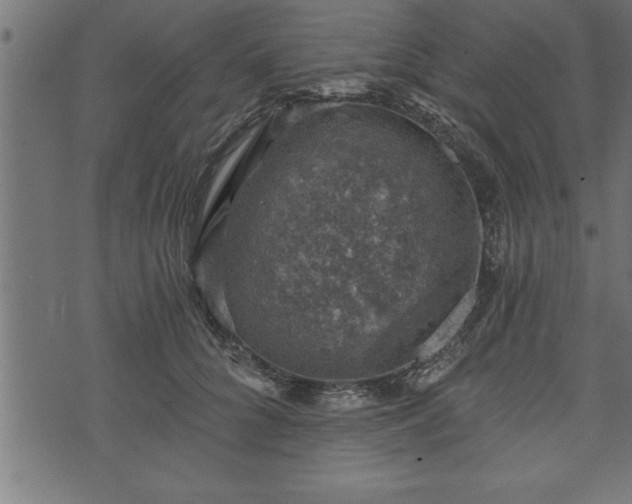 X0000073890704200608180934