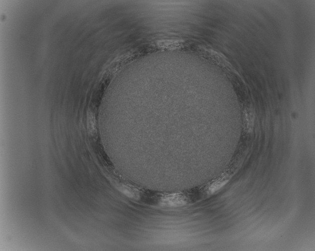 X0000073890705200608180934