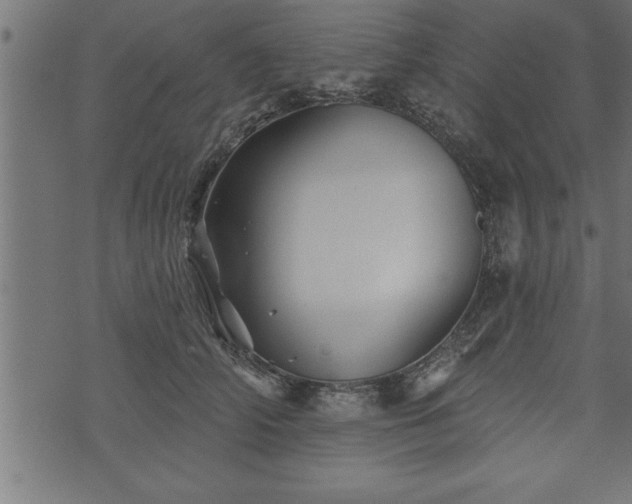 X0000073890706200608180934