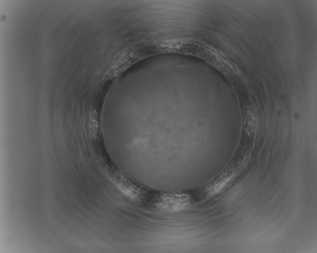 X0000073890707200608180934