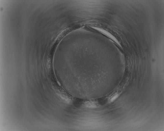 X0000073890708200608180934