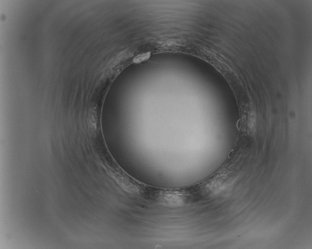 X0000073890710200608180934