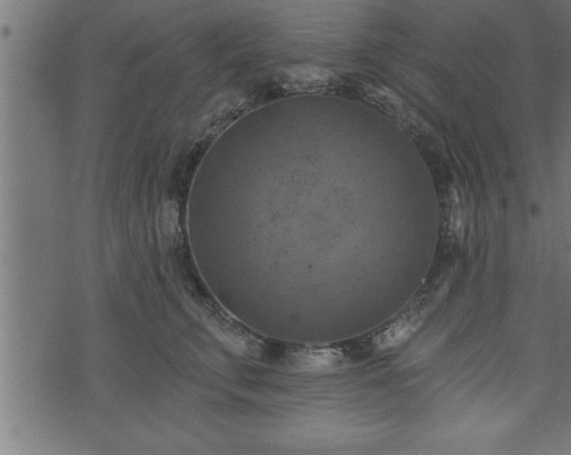 X0000073890711200608180934