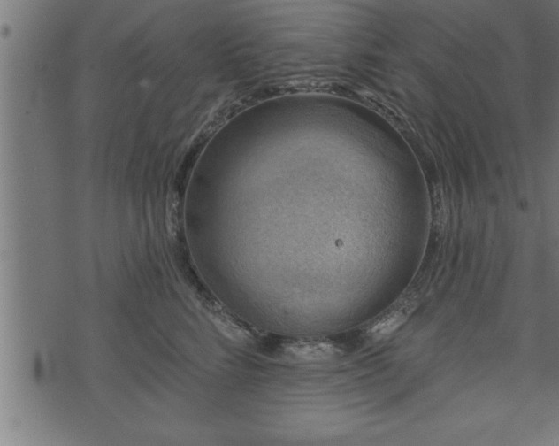 X0000073890712200608180934