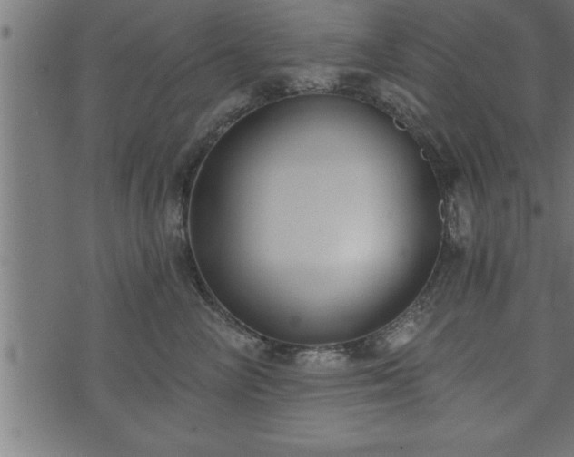 X0000073890714200608180933