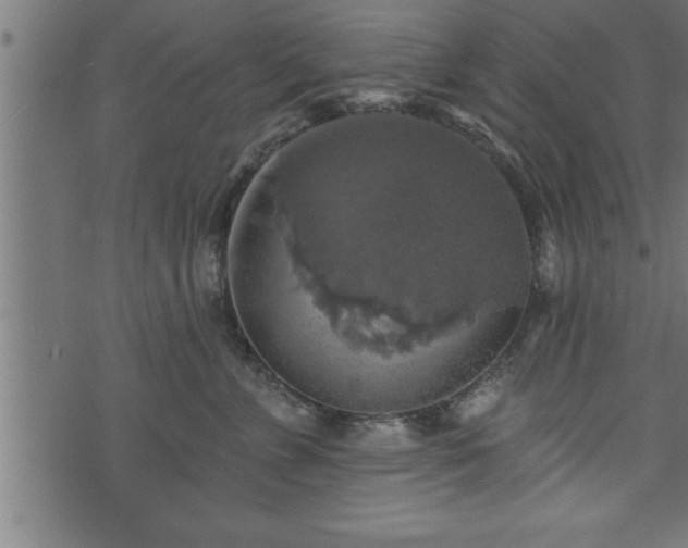 X0000073890715200608180933