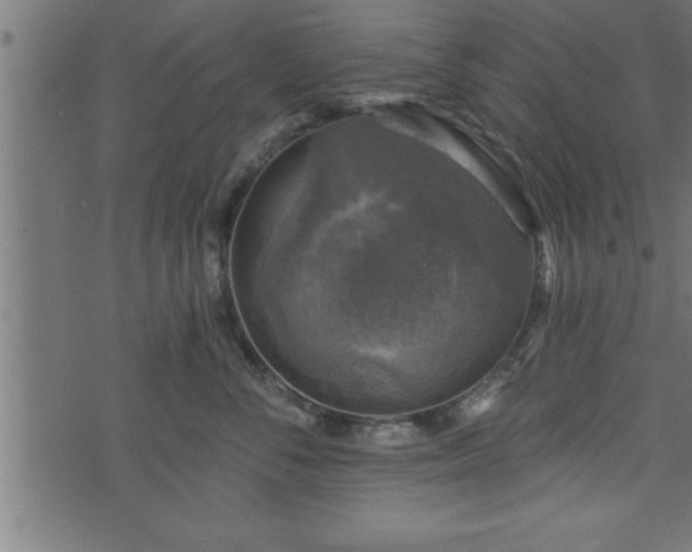 X0000073890716200608180933