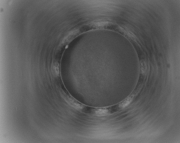 X0000073890718200608180933