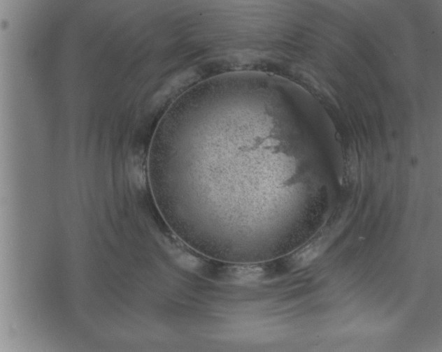 X0000073890719200608180933