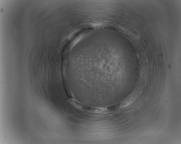 X0000073890720200608180933