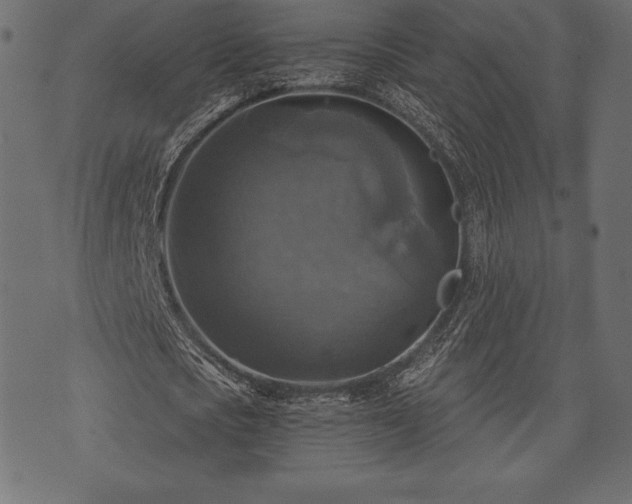 X0000073890721200608180933