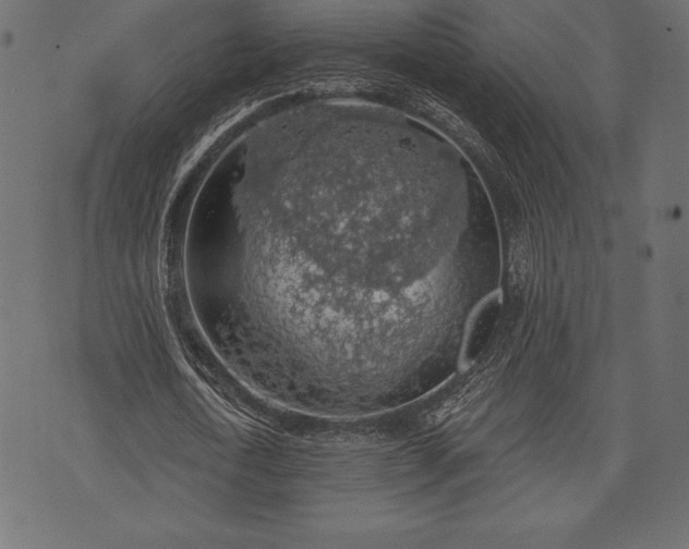 X0000073890722200608180933