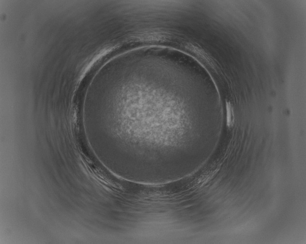 X0000073890723200608180933