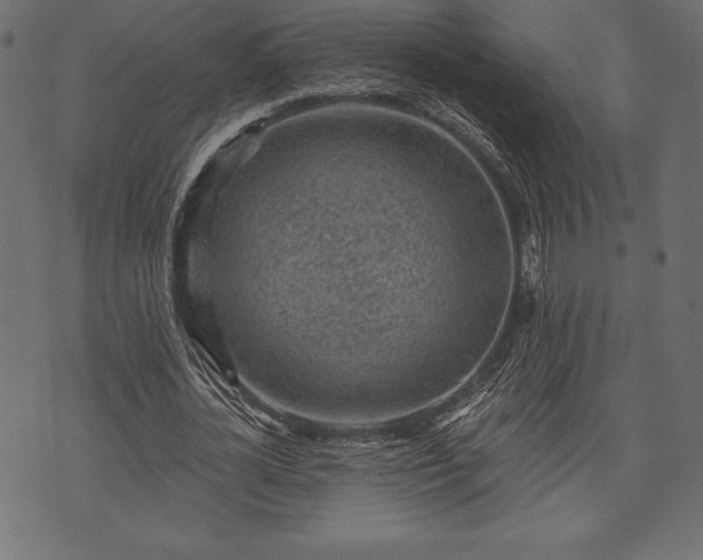 X0000073890724200608180933