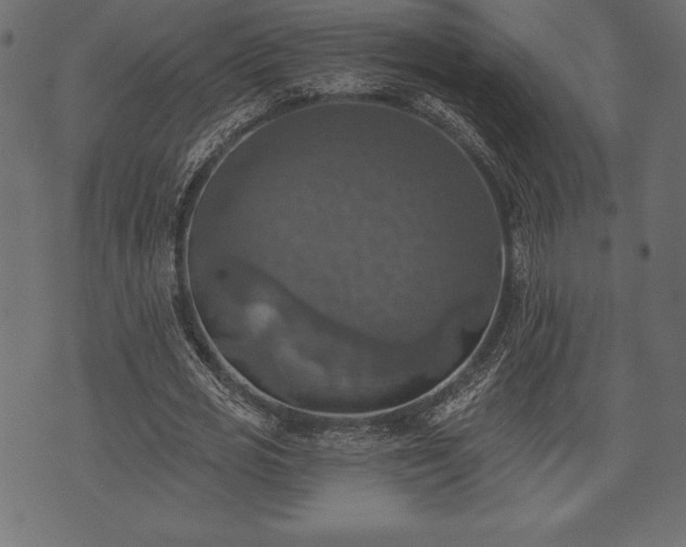 X0000073890725200608180933