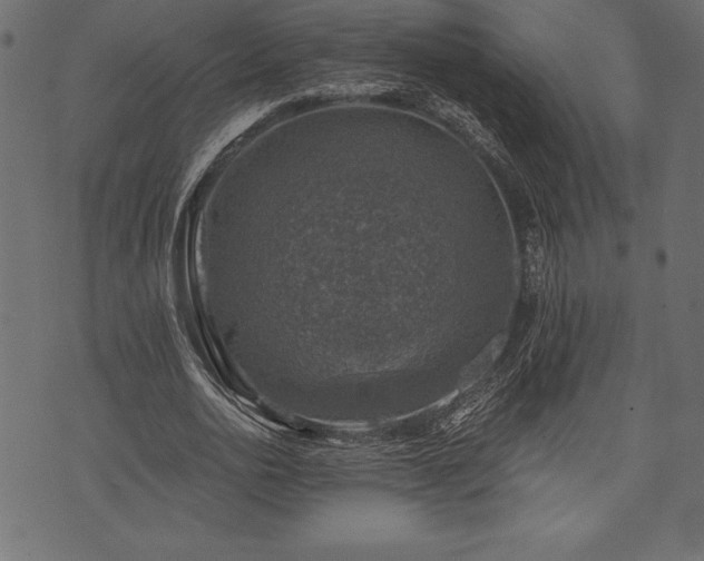 X0000073890726200608180933