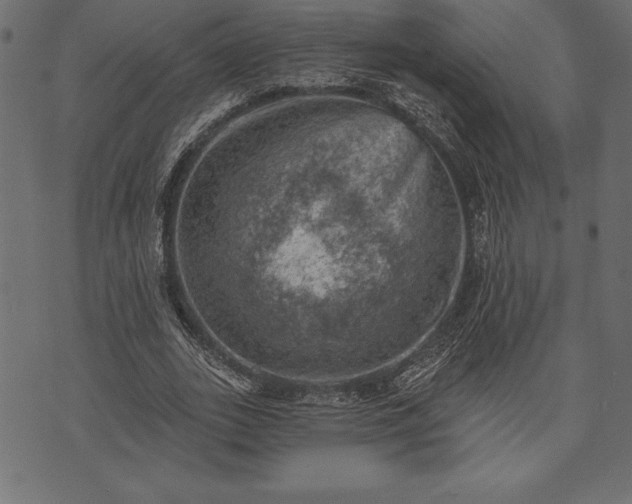 X0000073890727200608180933