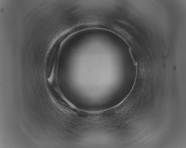 X0000073890728200608180933