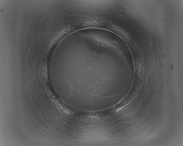 X0000073890729200608180933