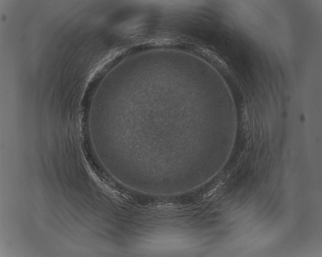 X0000073890730200608180933