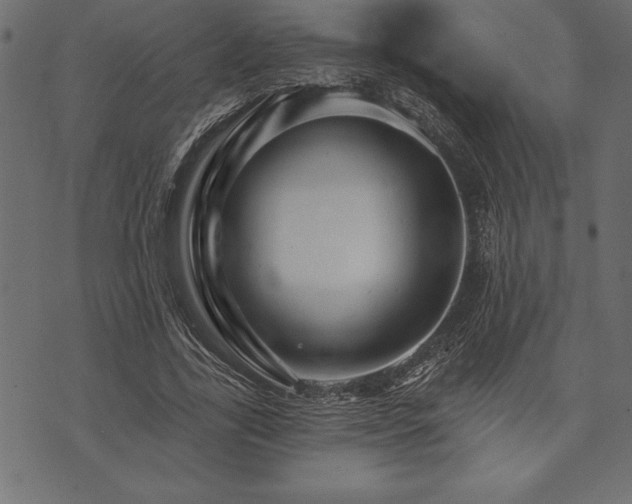 X0000073890731200608180933