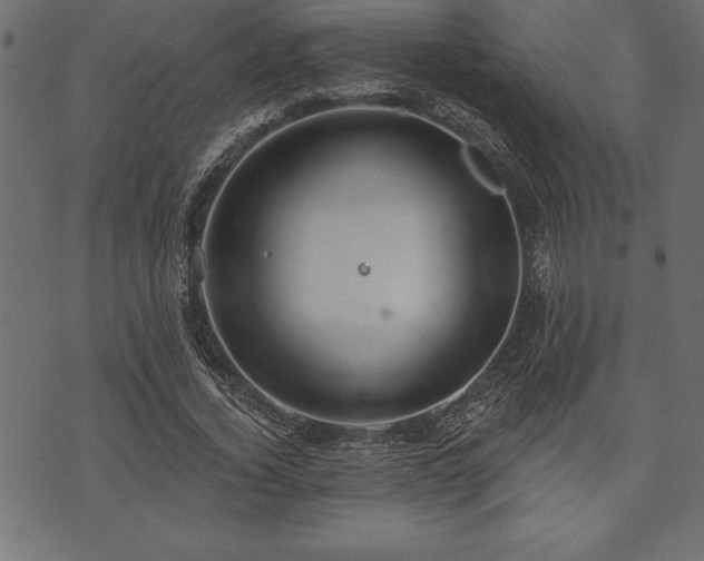 X0000073890732200608180933