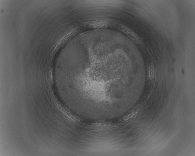 X0000073890733200608180933