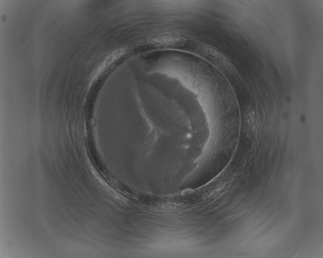 X0000073890734200608180933