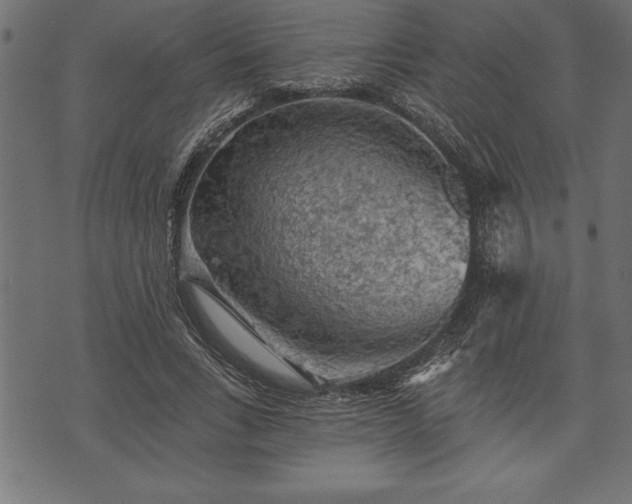 X0000073890735200608180933