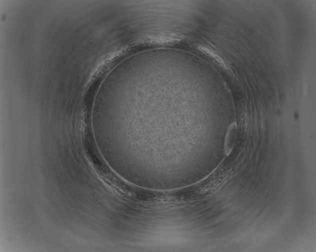 X0000073890736200608180933