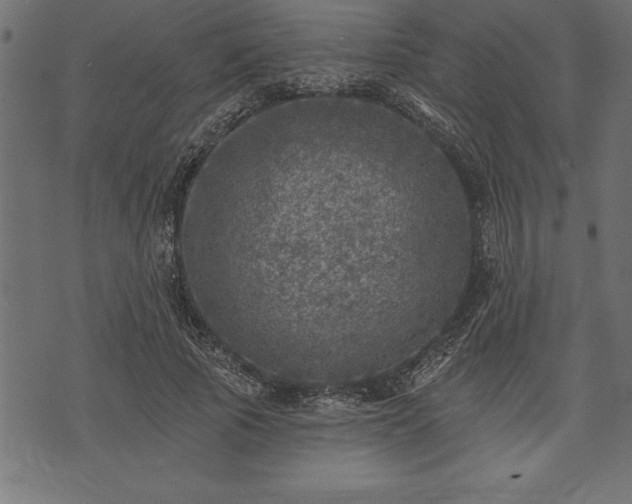 X0000073890737200608180933