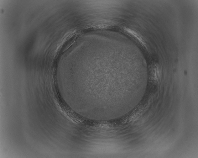 X0000073890738200608180933