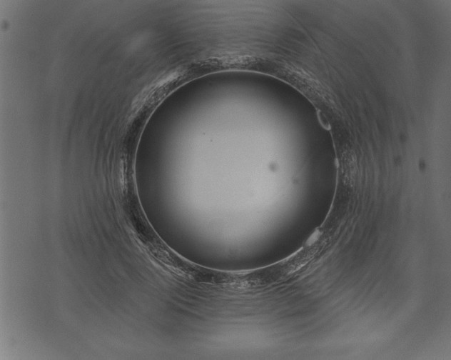 X0000073890740200608180933