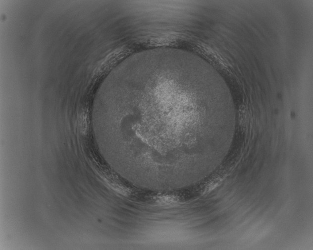 X0000073890741200608180933