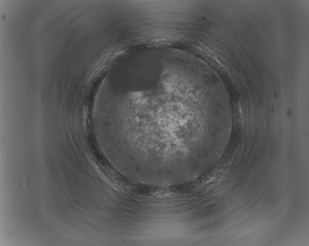 X0000073890742200608180933