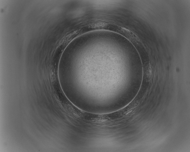 X0000073890743200608180933