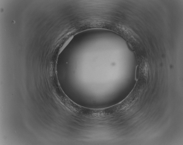 X0000073890744200608180933