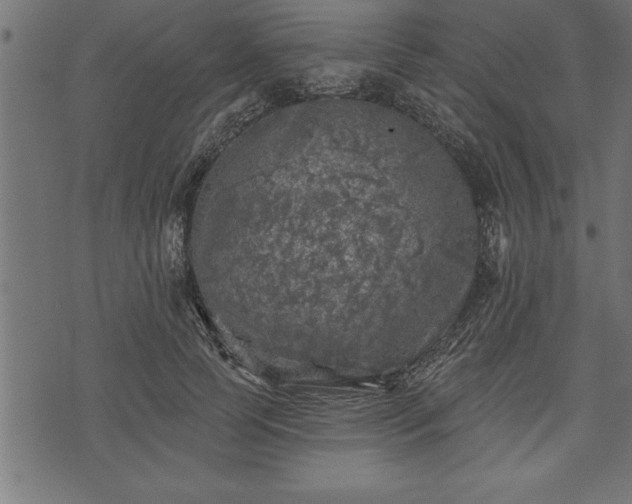 X0000073890745200608180933