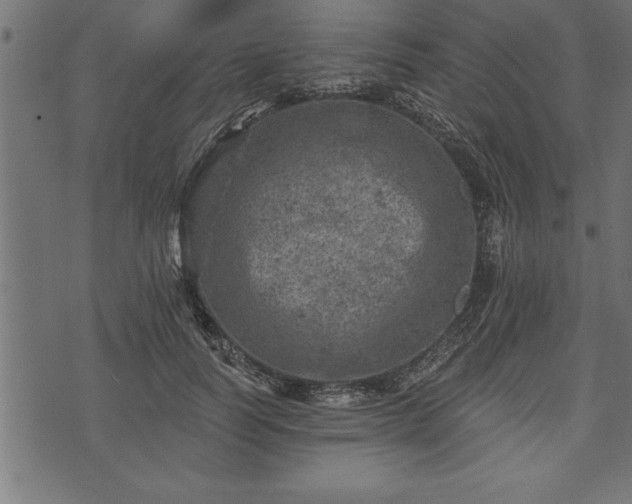 X0000073890746200608180933