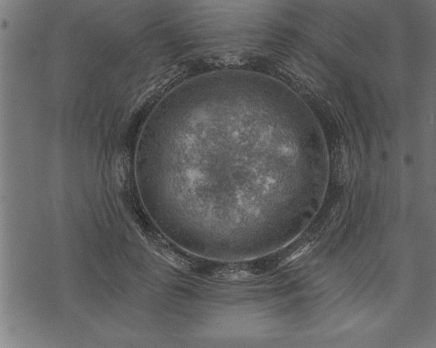 X0000073890747200608180933