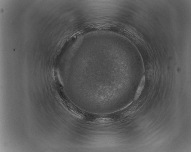 X0000073890748200608180933