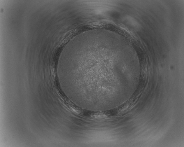 X0000073890749200608180933