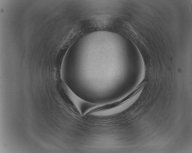 X0000073890750200608180933