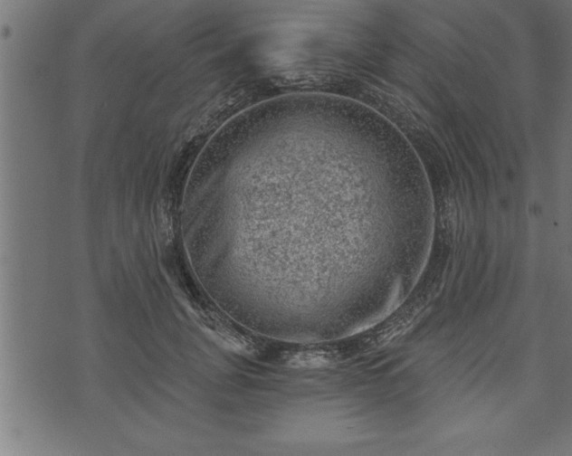 X0000073890751200608180933