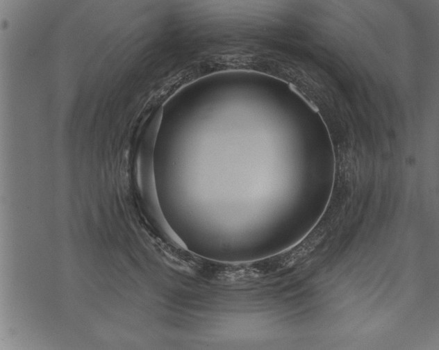 X0000073890752200608180933