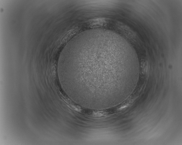 X0000073890753200608180933