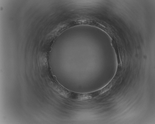 X0000073890754200608180933