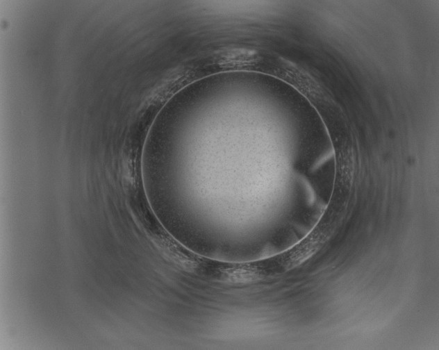 X0000073890755200608180933