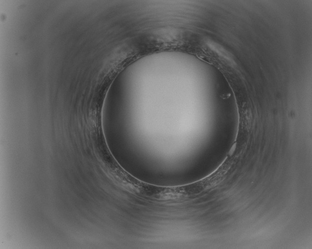 X0000073890756200608180933